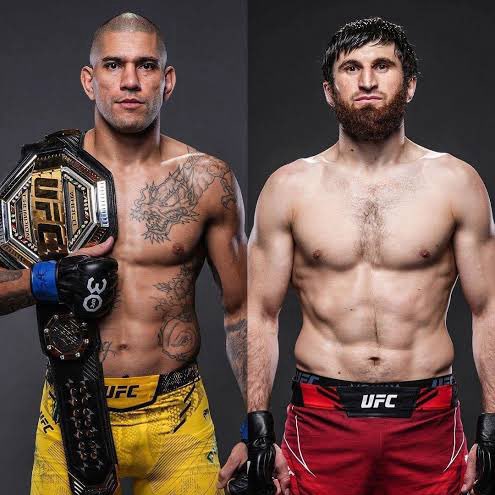 Alex Pereira vs Magomed Ankalaev