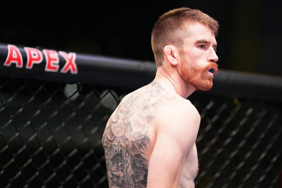 Peso Pena Cory Sandhagen no octógono do UFC

