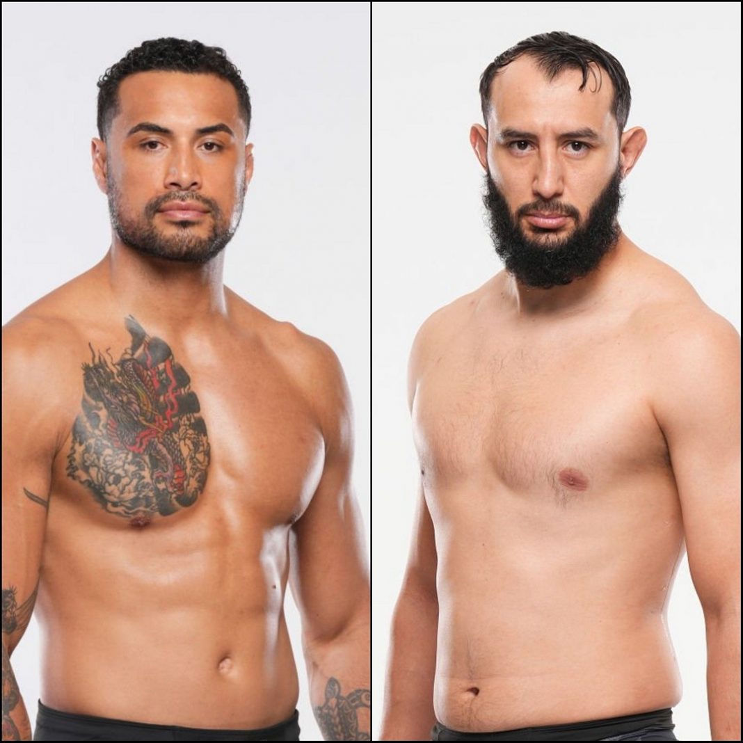 Ulberg x Reyes UFC